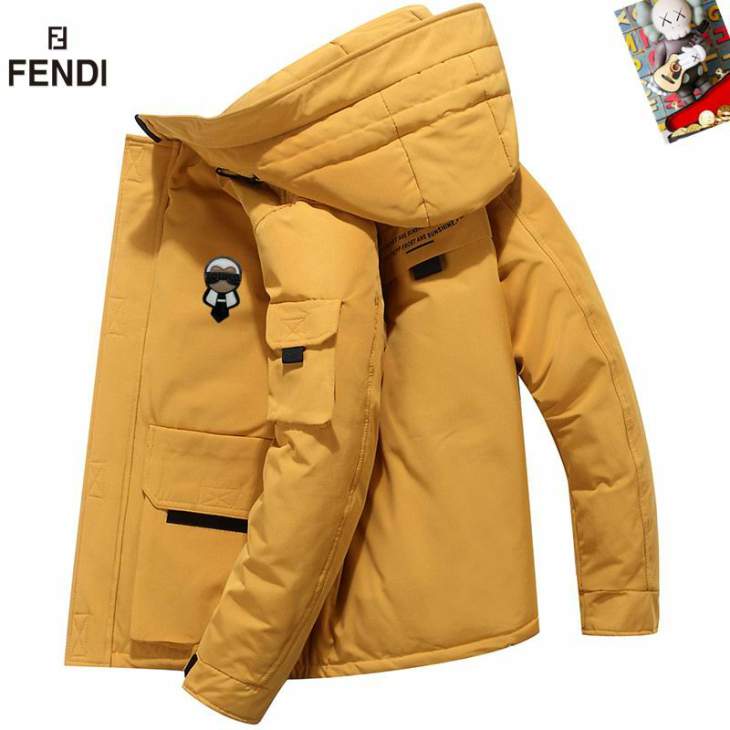 Picture of Fendi Down Jackets _SKUFendiM-3XL25tr3837738